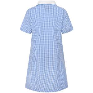A-LINE GINGHAM DRESS, Baddow Hall Infant & Junior School, Dresses, Pinafores & Skirts, Terling C of E Primary School, Trinity Road County Primary School, Summer Dresses