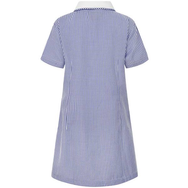 A-LINE GINGHAM DRESS, Dresses, Pinafores & Skirts, Chancellor Park Primary School, Great Waltham Primary School, Summer Dresses
