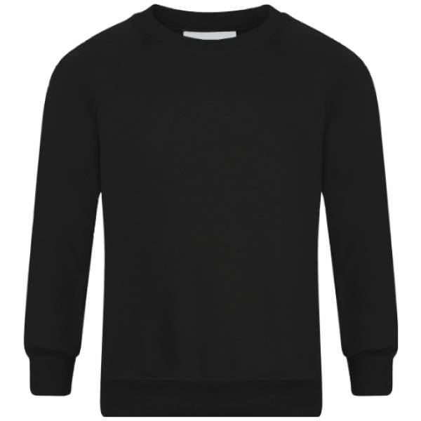 CREW NECK SWEATSHIRT, Sweatshirt Crewneck