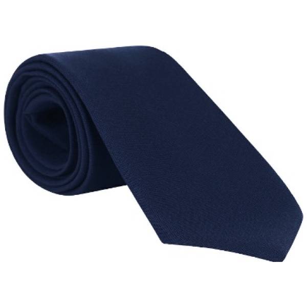 INNOVATION PLAIN TIE, Ties