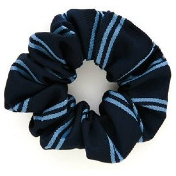 HEATHCOTE TIES & SCRUNCHIES, Heathcote Preparatory School, Heathcote School Uniform