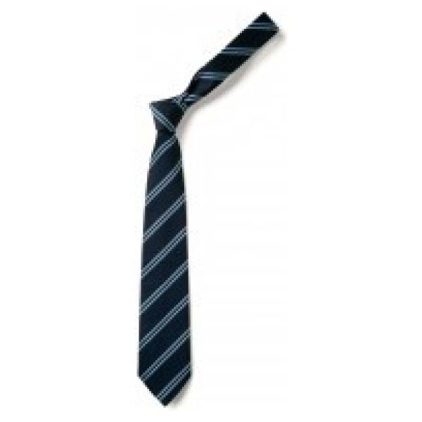 HEATHCOTE TIES & SCRUNCHIES, Heathcote Preparatory School, Heathcote School Uniform