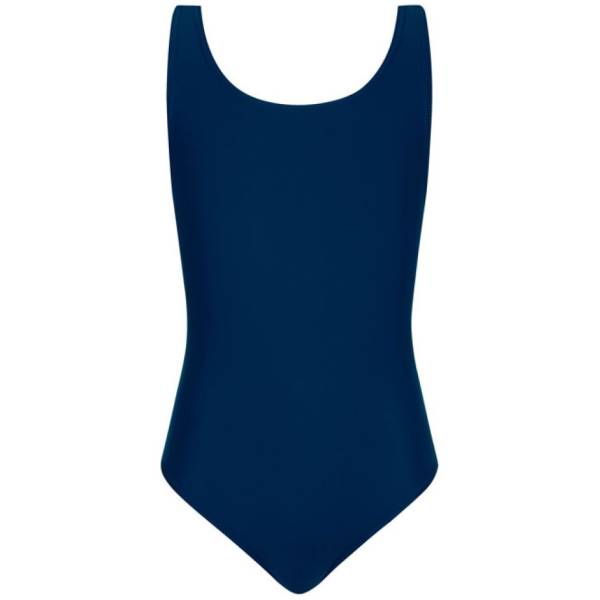 HOLE BACK SWIMSUIT LINED, The Boswells School, King Edward VI Grammar School, Moulsham High School, Swimwear, Swimsuits