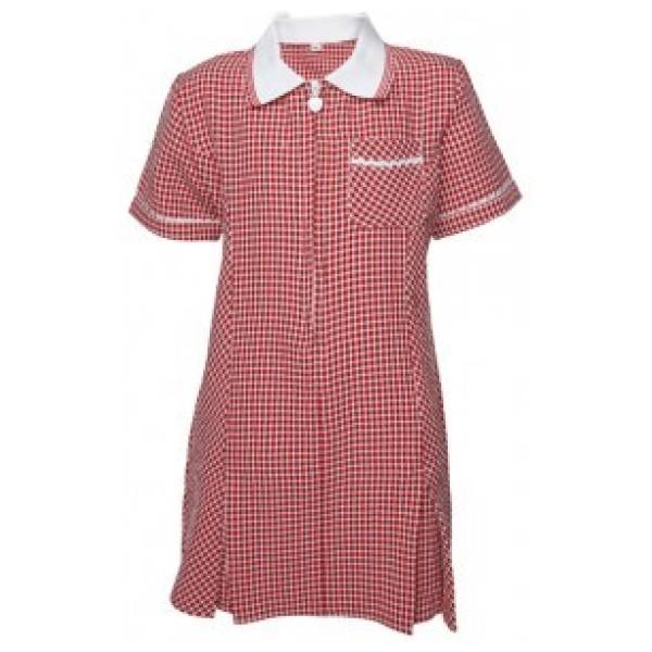 INNOVATION GINGHAM SUMMER DRESS, Summer Dresses, Gingham Summer Dresses