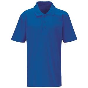 CLASSIC POLO, Polo Shirts