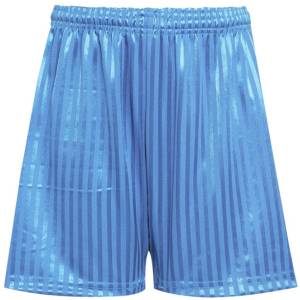 SHADOW STRIPE SHORTS SKY, Sports & Cycle Shorts