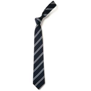 CHANCELLOR PARK SCHOOL TIES, Chancellor Park Primary School, Chancellor Park Primary School Uniform