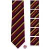ST JOHN PAYNE SCHOOL TIE, St John Payne Catholic School, St John Payne School Uniform