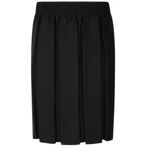 BOX PLEAT ELASTICATED SKIRT, Junior Skirts & Day Skorts, Dresses, Pinafores & Skirts