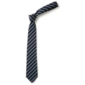 MHS TIE, Moulsham High School, MHS Uniform