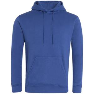BANNER CLASSIC HOODIE, Hoodies, Zoodies, College & Varsity, Hoodies