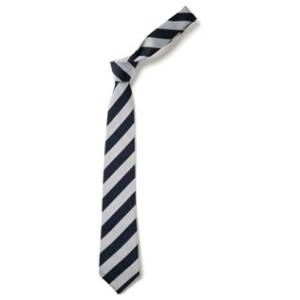 GREAT WALTHAM TIES & SCRUNCHIE, Great Waltham Primary School, Great Waltham Primary School Uniform