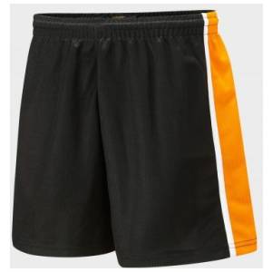 SPIRIT PANELLED SPORTS SHORTS, Falcon Spirit Range