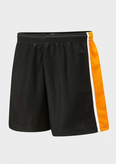 SPIRIT PANELLED SPORTS SHORTS, Falcon Spirit Range